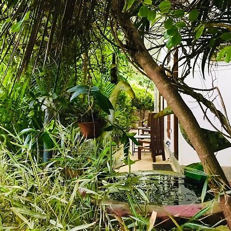 Green Jade Inn מיריסה מראה חיצוני תמונה