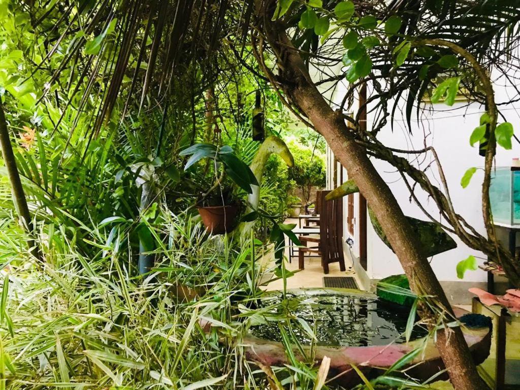Green Jade Inn מיריסה מראה חיצוני תמונה